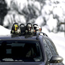 Menabo Himalaya Magneet Skidrager set-4