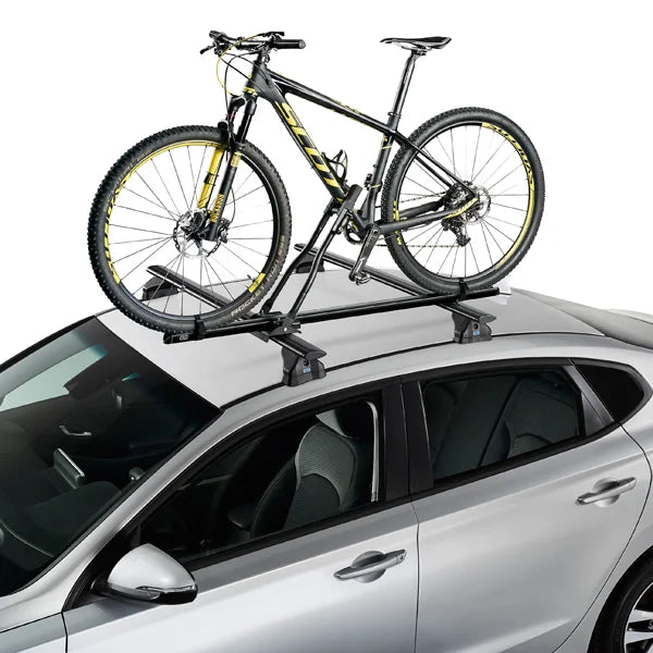 Cruz Race Dark 2019 fietsendrager-2