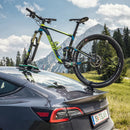 TreeFrog Pro 1 fietsendrager-4