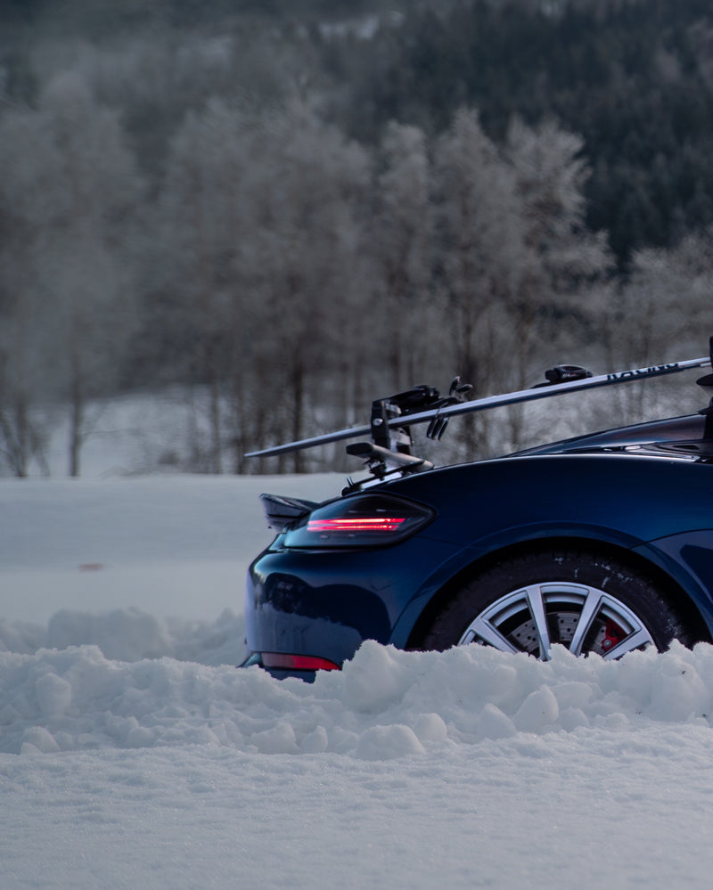 TreeFrog Ski&Snowboard 365 H Rack-7